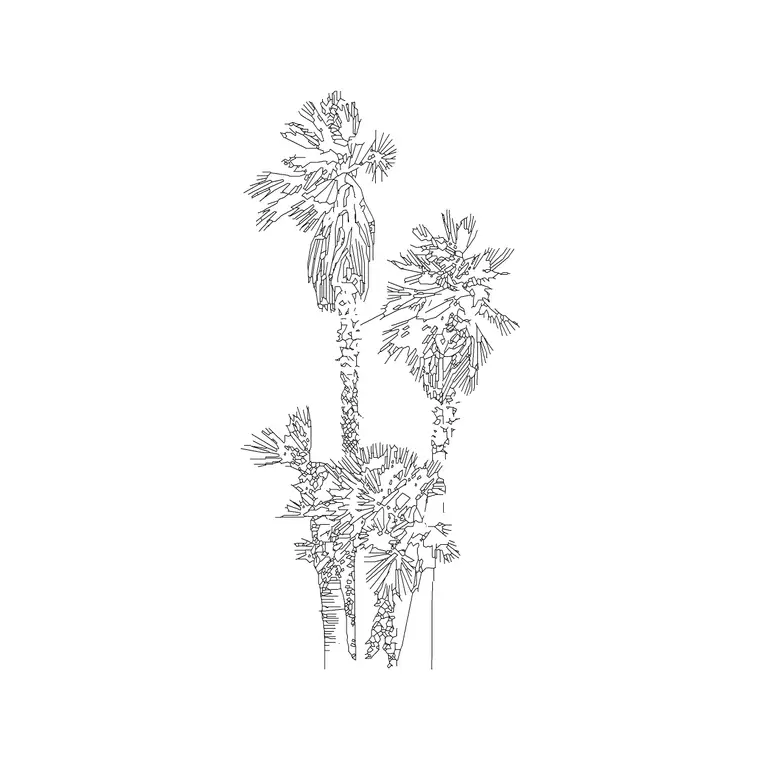 3 Palm Elevation 4 DWG CAD block thumbnail — trees & plants drawing