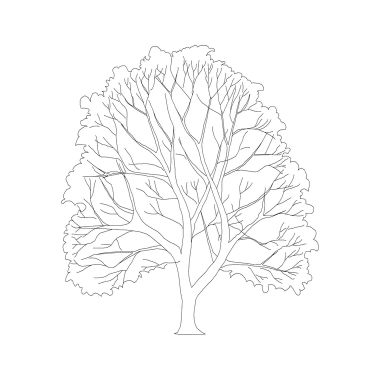 Arjuna DWG CAD block thumbnail — trees & plants drawing