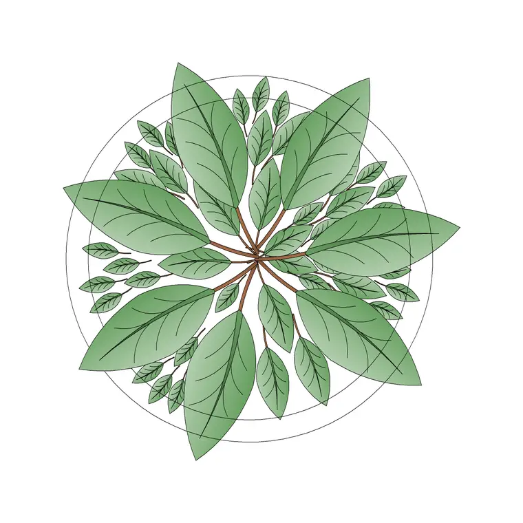 Arvore L DWG CAD block thumbnail — trees & plants drawing