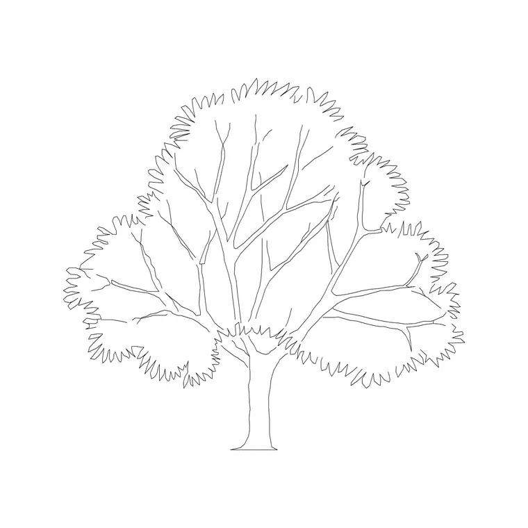 Ashoka 2 DWG CAD block thumbnail — trees & plants drawing