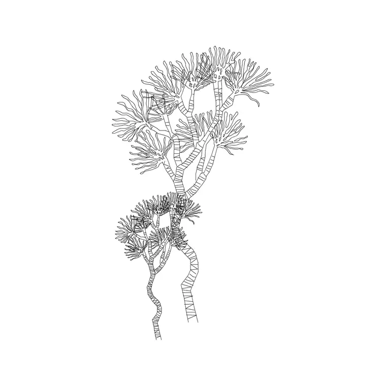 Big Tree Ele (15) DWG CAD block thumbnail — trees & plants drawing