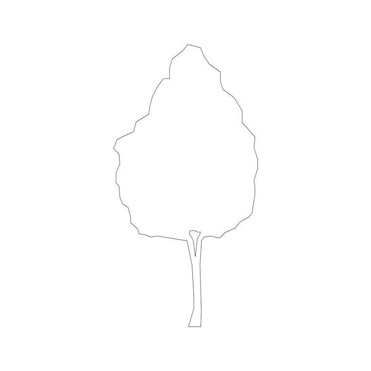 Big Tree Ele (16) DWG CAD block thumbnail — trees & plants drawing