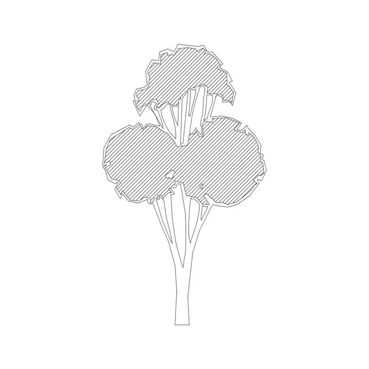 Big Tree Ele (3) DWG CAD block thumbnail — trees & plants drawing