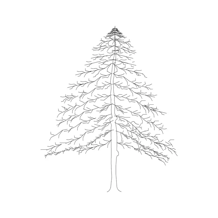 Coniferous Tree (10) DWG CAD block thumbnail — trees & plants drawing