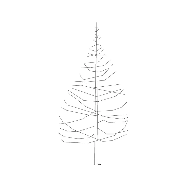 Coniferous Tree (11) DWG CAD block thumbnail — trees & plants drawing