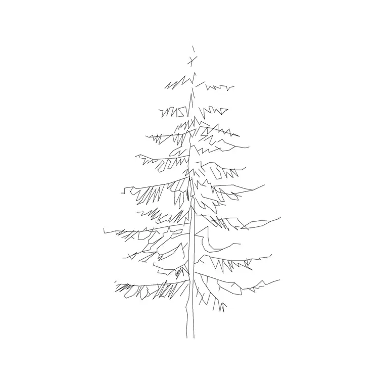 Coniferous Tree (17) DWG CAD block thumbnail — trees & plants drawing