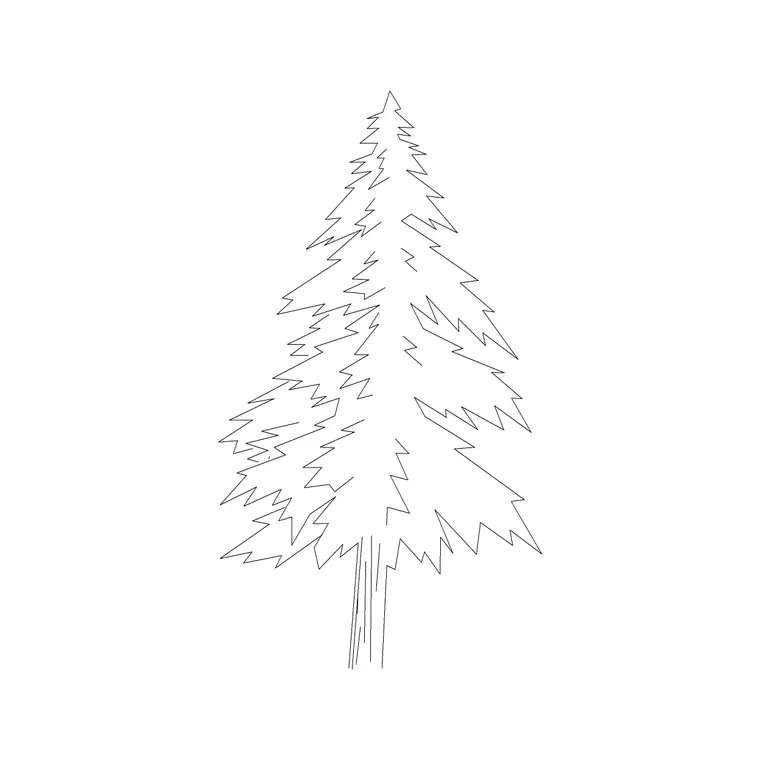 Coniferous Tree (18) DWG CAD block thumbnail — trees & plants drawing