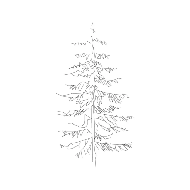 Coniferous Tree (23) DWG CAD block thumbnail — trees & plants drawing