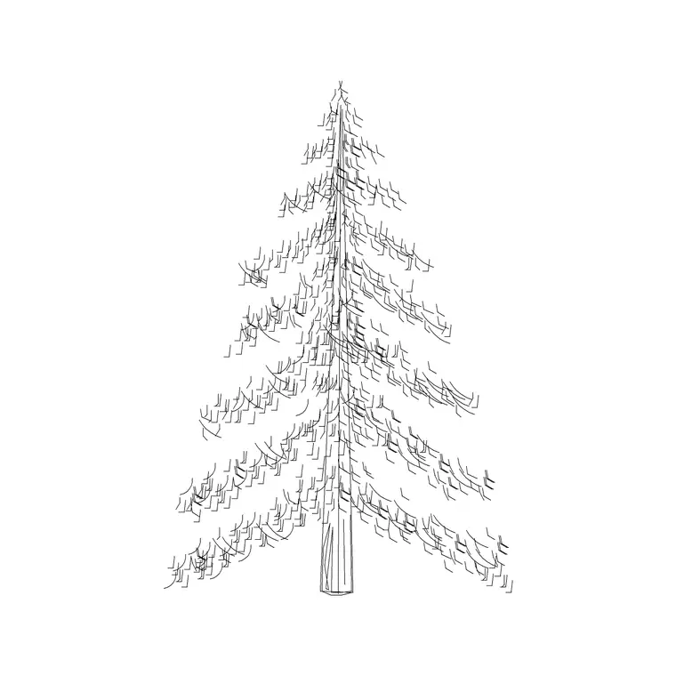 Coniferous Tree Type B DWG CAD block thumbnail — trees & plants drawing