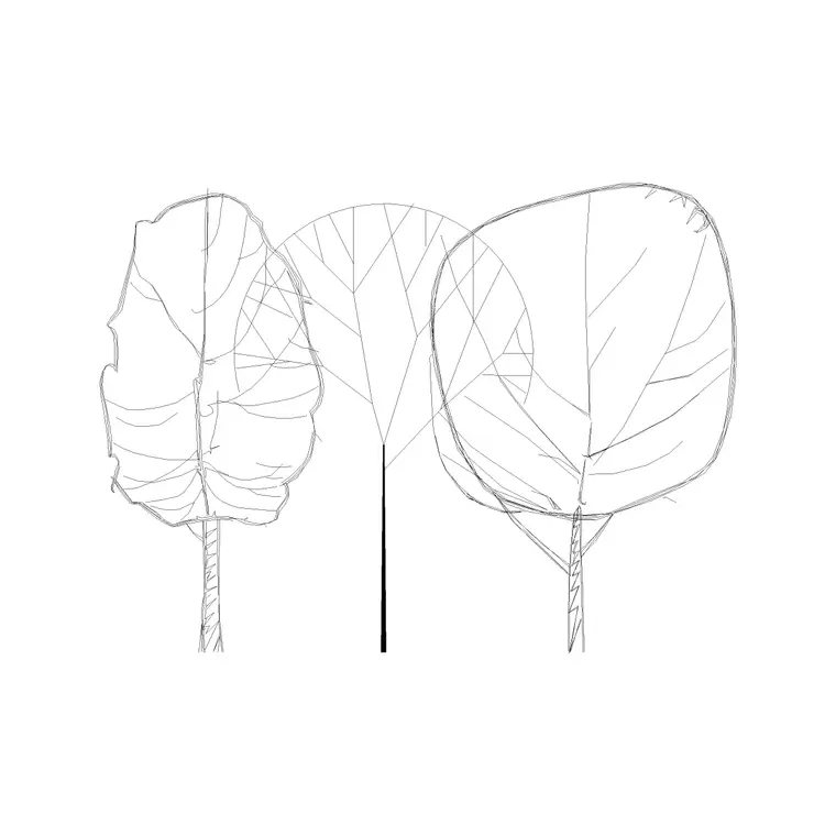 Deciduous Trees (20) DWG CAD block thumbnail — trees & plants drawing