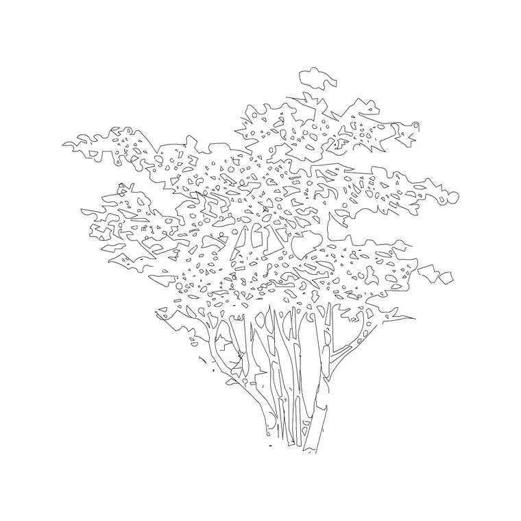 Deciduous Trees (23) DWG CAD block thumbnail — trees & plants drawing
