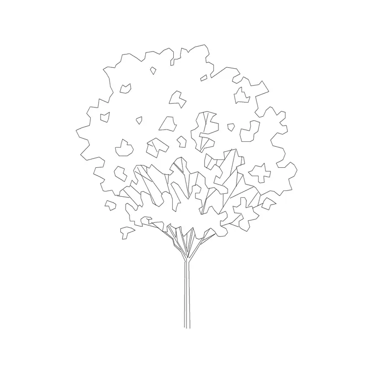 Deciduous Trees (25) DWG CAD block thumbnail — trees & plants drawing