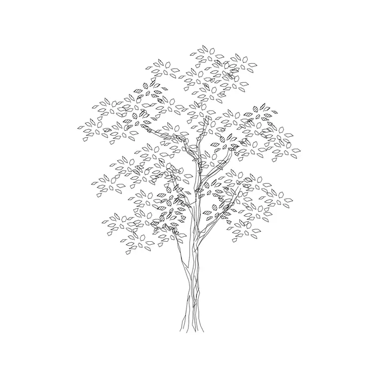 Deciduous Trees (28) DWG CAD block thumbnail — trees & plants drawing