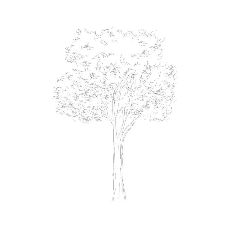 Deciduous Trees (29) DWG CAD block thumbnail — trees & plants drawing