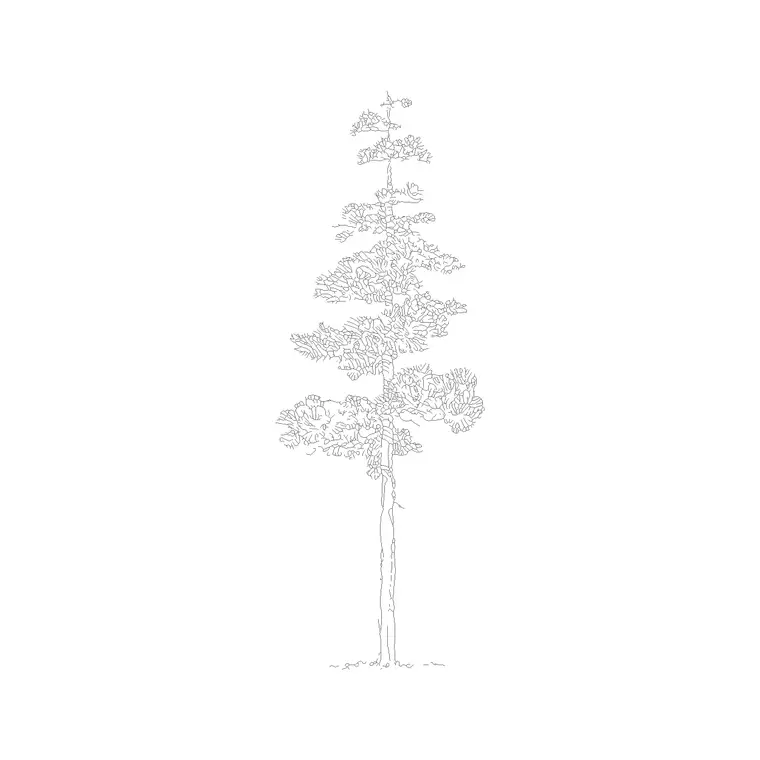 Deciduous Trees (4) DWG CAD block thumbnail — trees & plants drawing