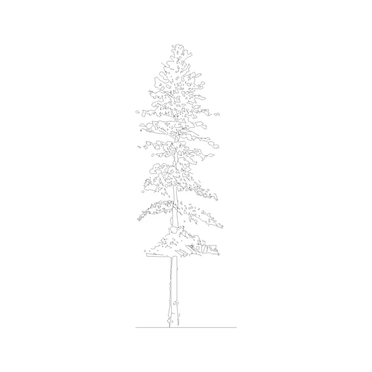 Deciduous Trees (5) DWG CAD block thumbnail — trees & plants drawing