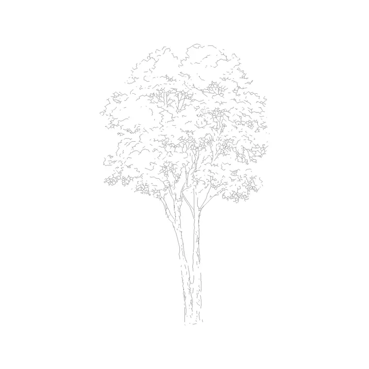Deciduous Trees (7) DWG CAD block thumbnail — trees & plants drawing