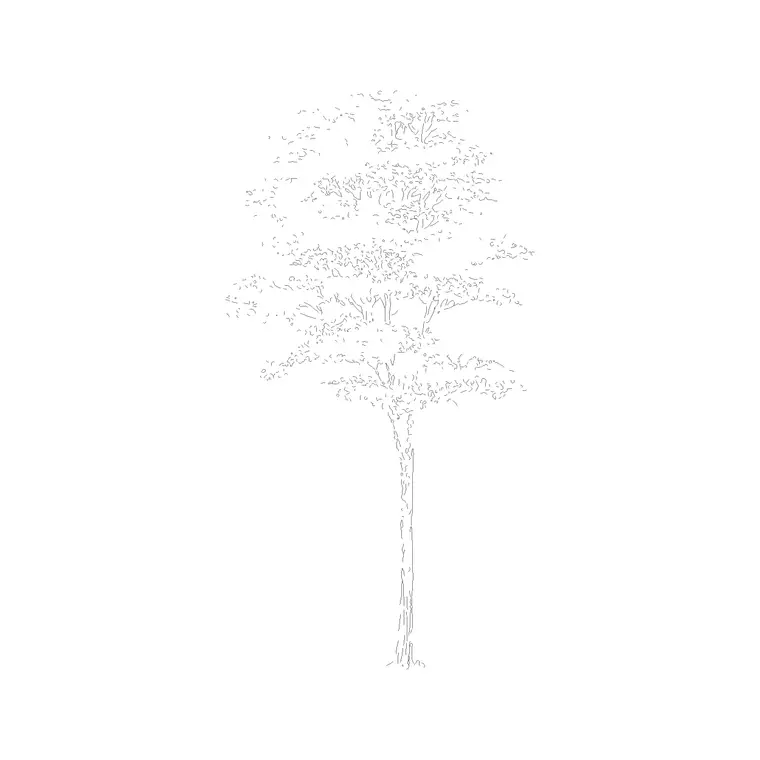 Deciduous Trees (8) DWG CAD block thumbnail — trees & plants drawing