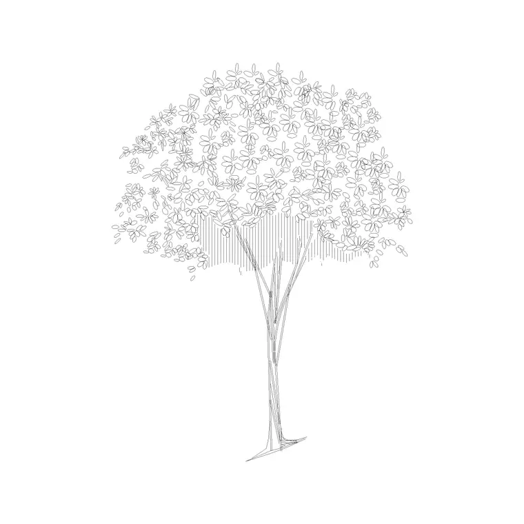 Deciduous Trees (9) DWG CAD block thumbnail — trees & plants drawing