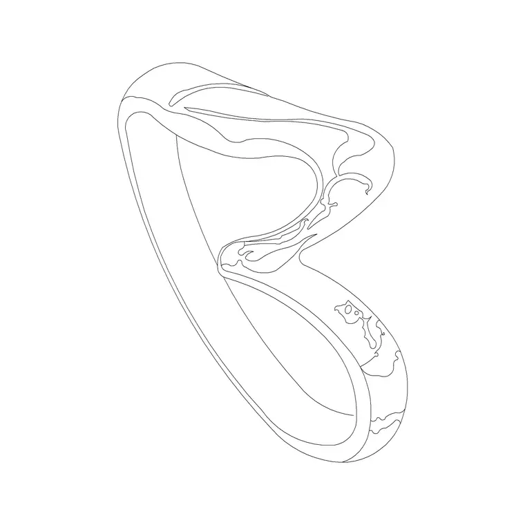 Designer Ring 2 DWG CAD block thumbnail — accessories drawing