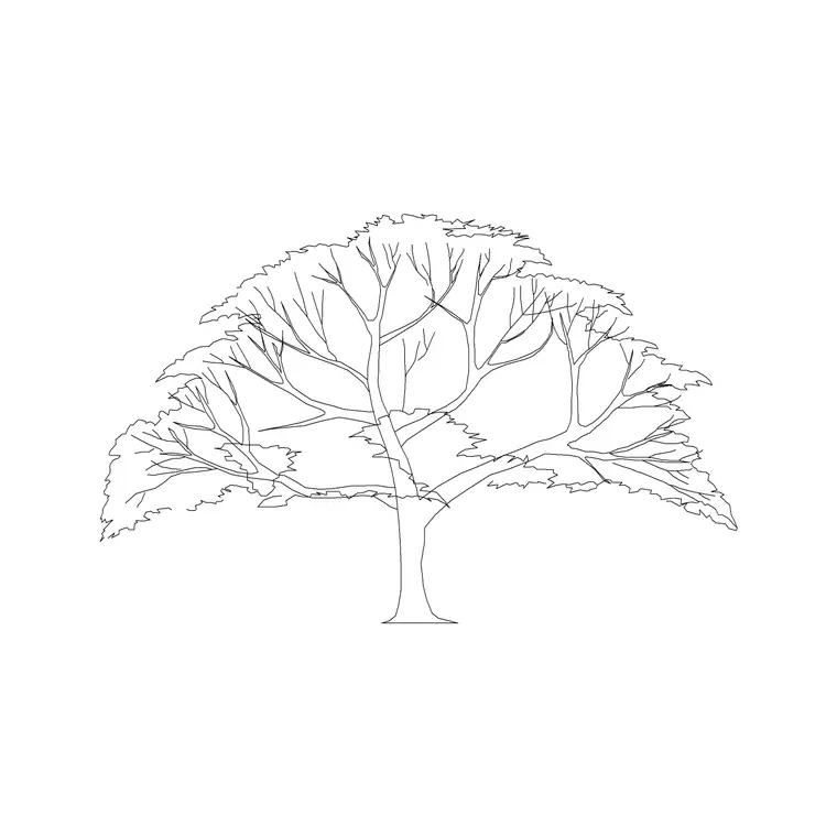 Gulmohar DWG CAD block thumbnail — trees & plants drawing