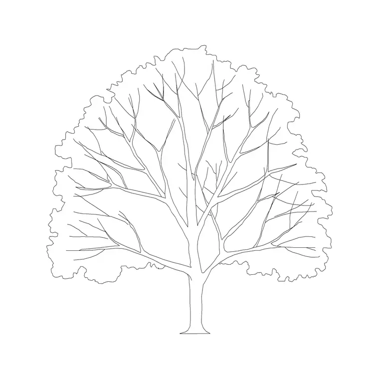 Jamun DWG CAD block thumbnail — trees & plants drawing