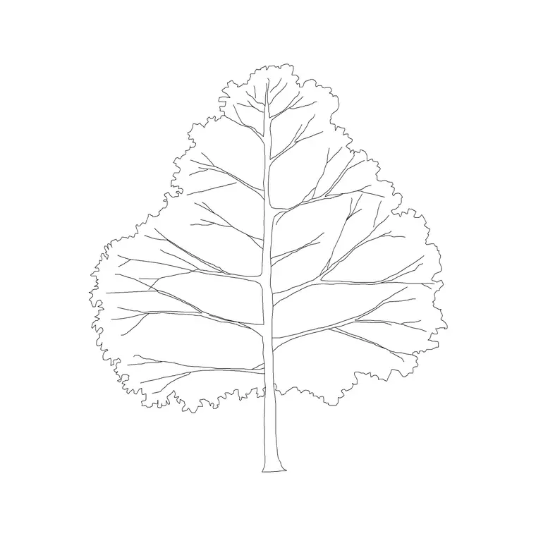 Kadamba DWG CAD block thumbnail — trees & plants drawing