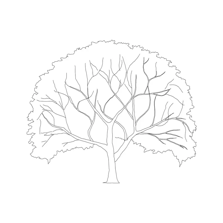 Karanj DWG CAD block thumbnail — trees & plants drawing