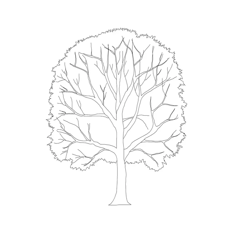 Mango DWG CAD block thumbnail — trees & plants drawing