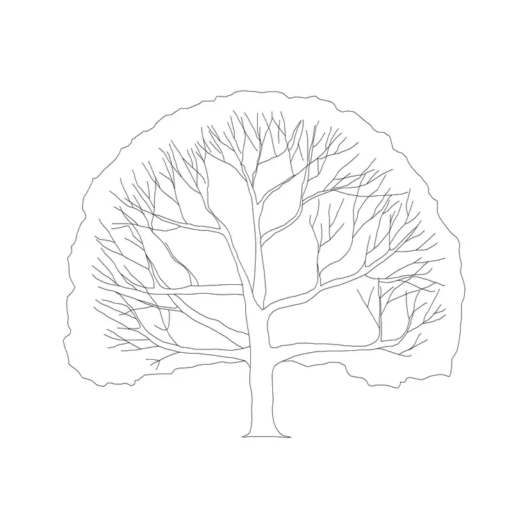 Maulsari DWG CAD block thumbnail — trees & plants drawing