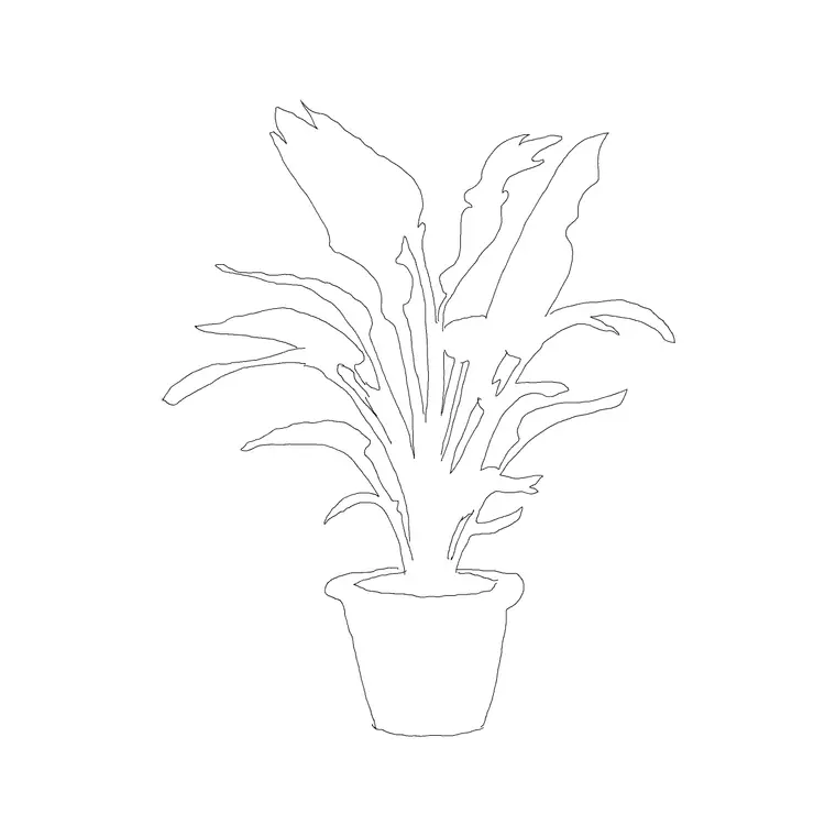 Medium Plant Ele 003 DWG CAD block thumbnail — trees & plants drawing