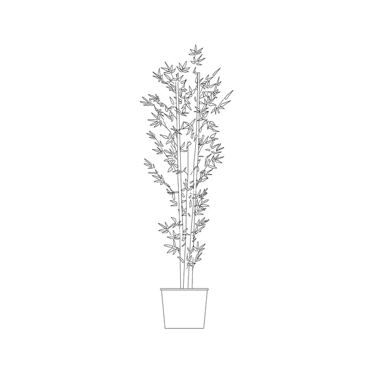 Medium Potted Plant 10 DWG CAD block thumbnail — trees & plants drawing