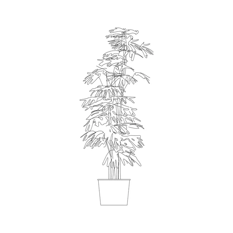 Medium Potted Plant 11 DWG CAD block thumbnail — trees & plants drawing