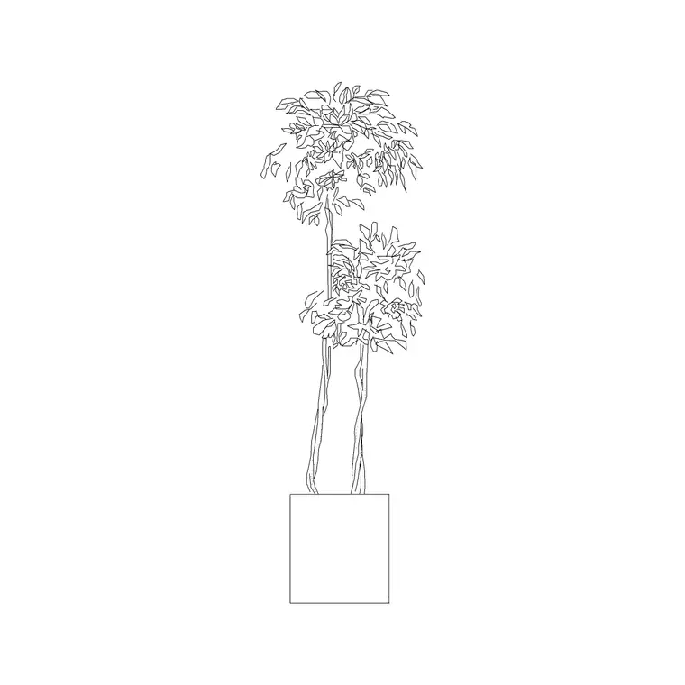 Medium Potted Plant 12 DWG CAD block thumbnail — trees & plants drawing