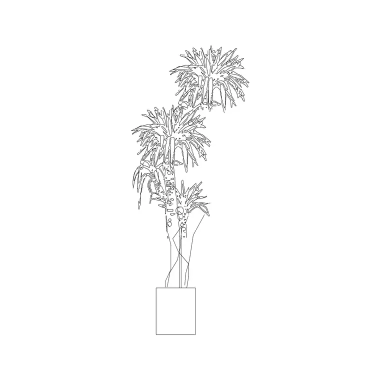 Medium Potted Plant 13 DWG CAD block thumbnail — trees & plants drawing