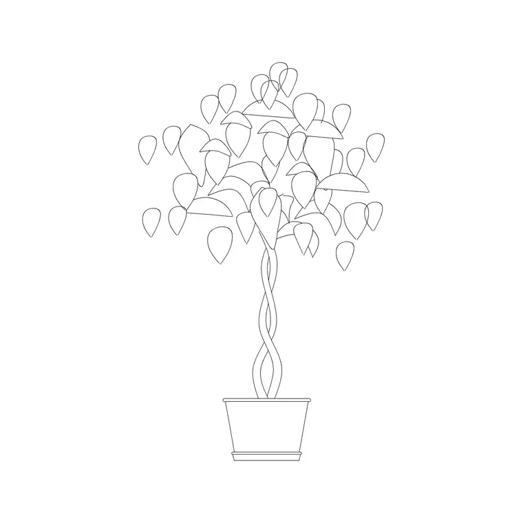 Medium Potted Plant 16 DWG CAD block thumbnail — trees & plants drawing