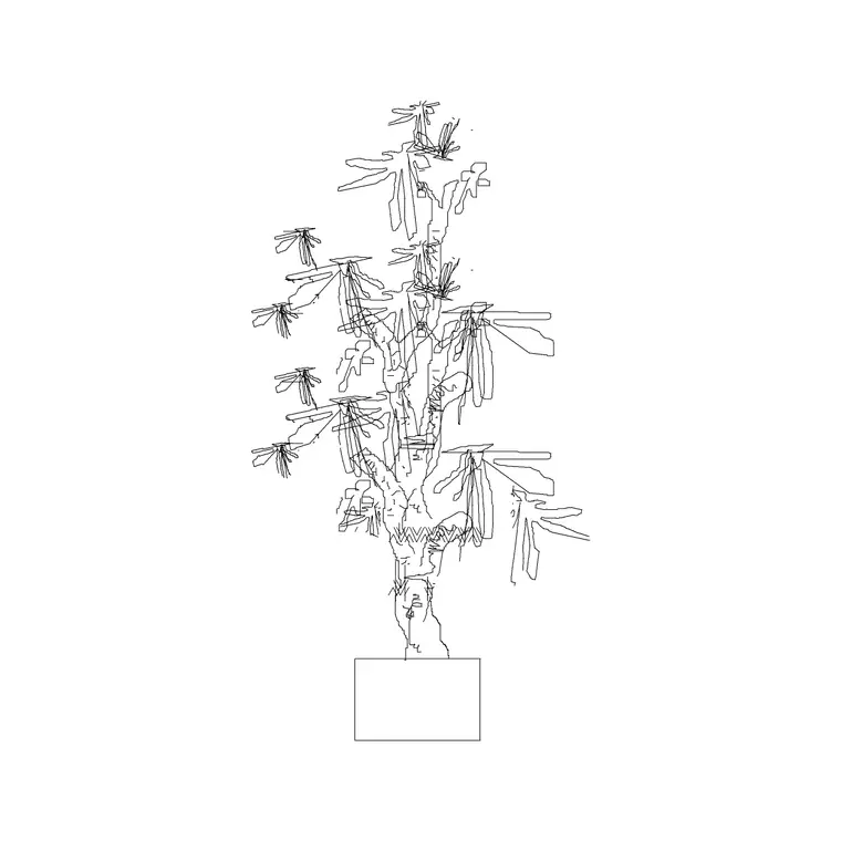 Medium Potted Plant 31 DWG CAD block thumbnail — trees & plants drawing