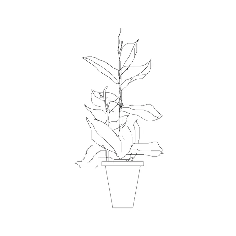 Medium Potted Plant 34 DWG CAD block thumbnail — trees & plants drawing
