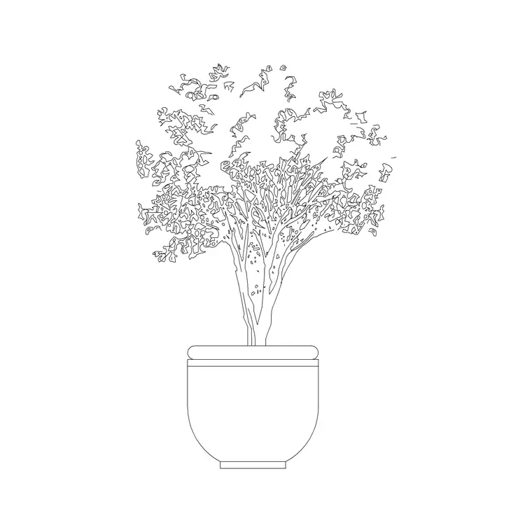 Medium Potted Plant 4 DWG CAD block thumbnail — trees & plants drawing