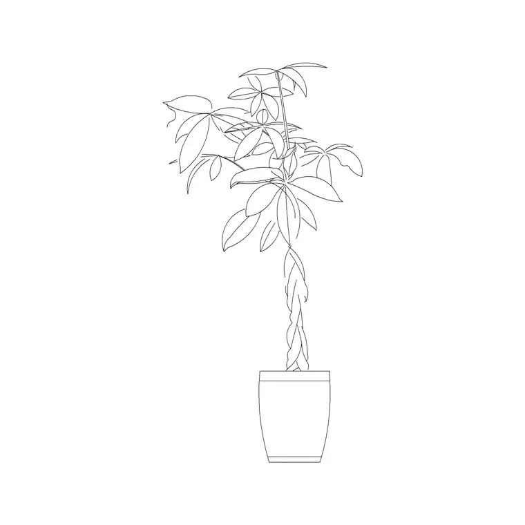 Medium Potted Plant 7 DWG CAD block thumbnail — trees & plants drawing