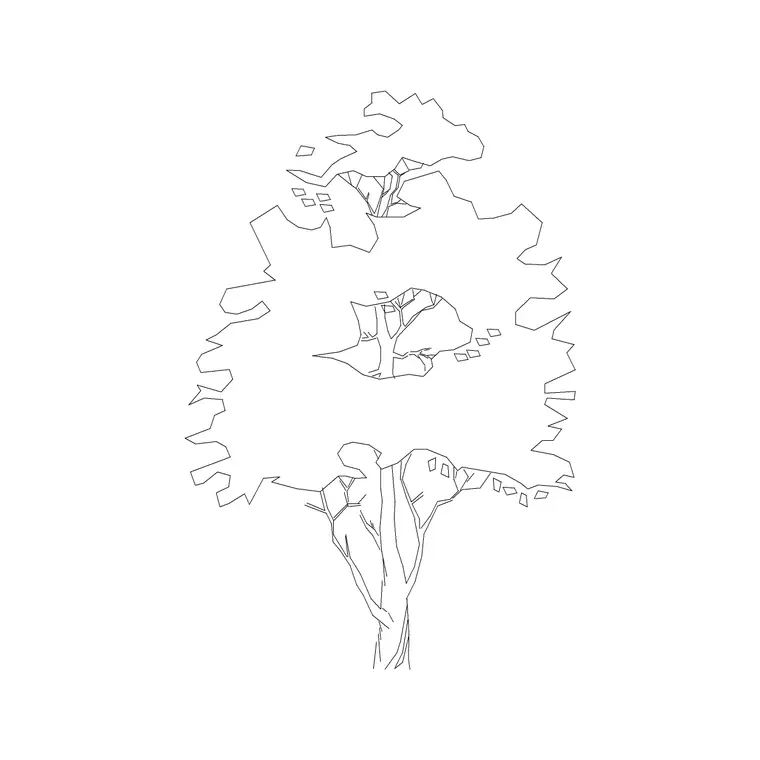 Oak Tree Ele (2) DWG CAD block thumbnail — trees & plants drawing