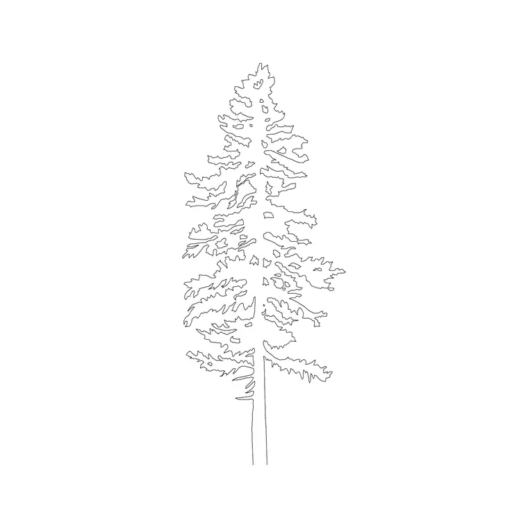 Oak Tree Ele (3) DWG CAD block thumbnail — trees & plants drawing