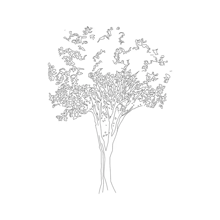 Oak Tree Ele (4) DWG CAD block thumbnail — trees & plants drawing