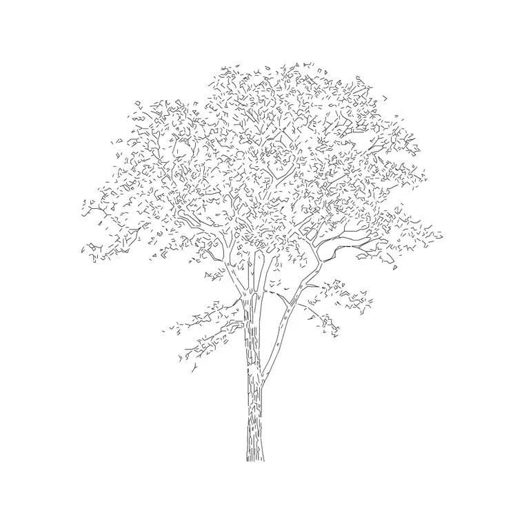 Oak Tree Ele (5) DWG CAD block thumbnail — trees & plants drawing