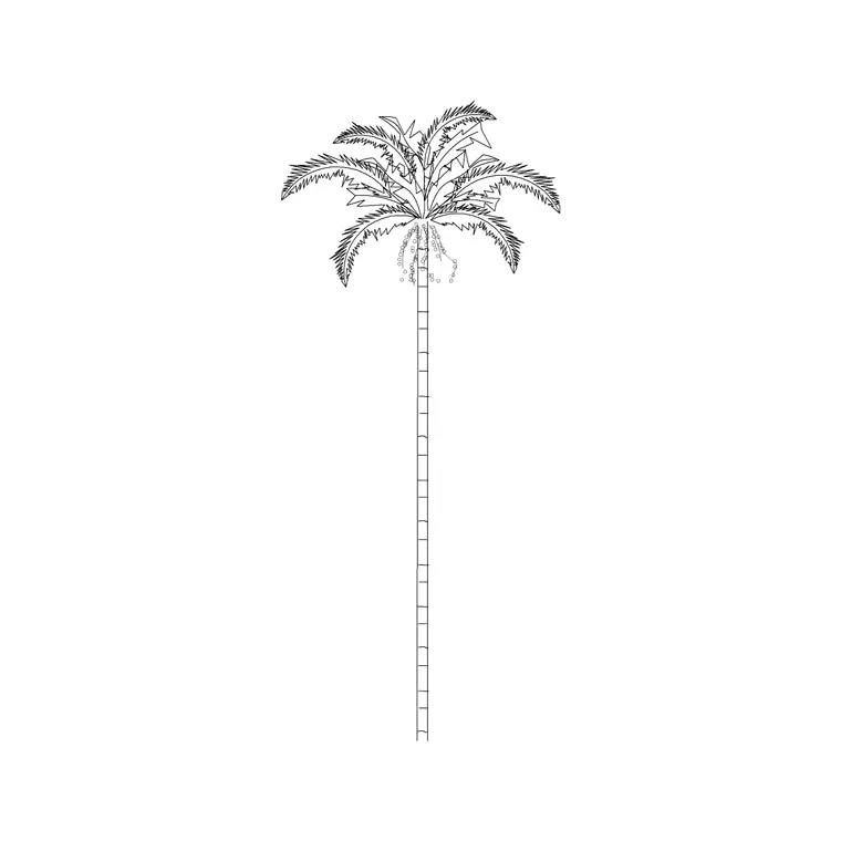 Palm Elevation 12 DWG CAD block thumbnail — trees & plants drawing