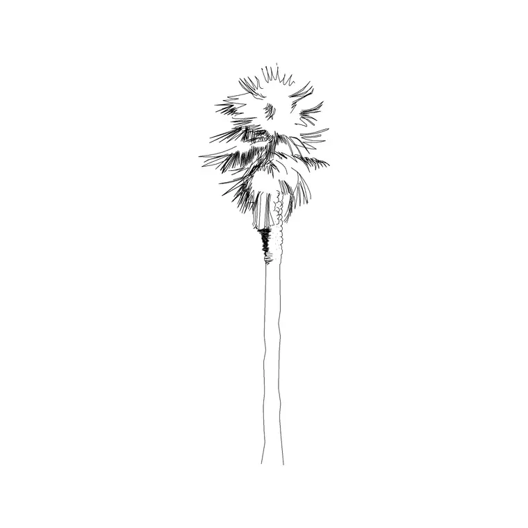 Palm Elevation 14 DWG CAD block thumbnail — trees & plants drawing