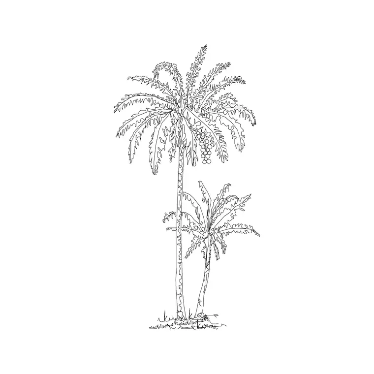 Palm Elevation 15 DWG CAD block thumbnail — trees & plants drawing