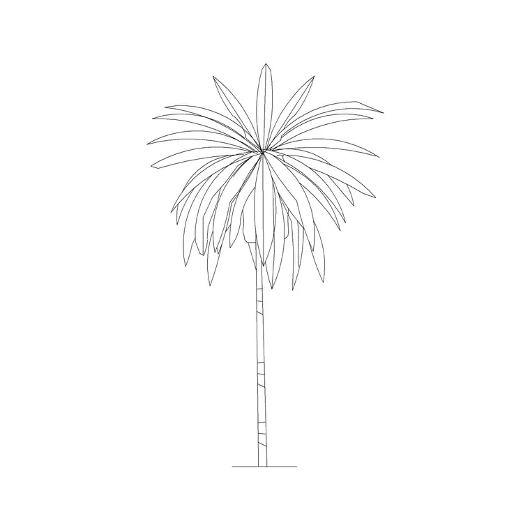 Palm Elevation 2 DWG CAD block thumbnail — trees & plants drawing