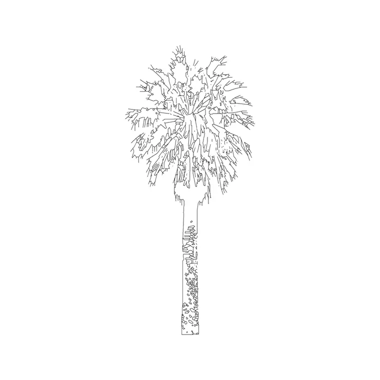 Palm Elevation 3 DWG CAD block thumbnail — trees & plants drawing