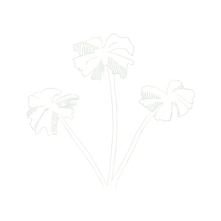 Palm Tree Front Ele (1) DWG CAD block thumbnail — trees & plants drawing